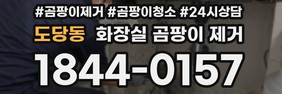 도당동 화장실 곰팡이 제거