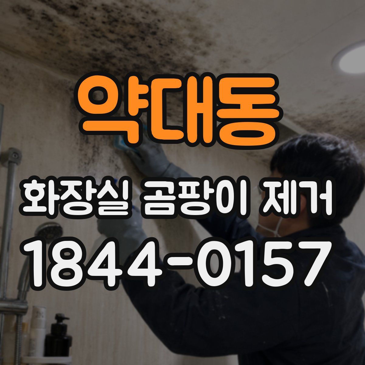 약대동 화장실 곰팡이 제거