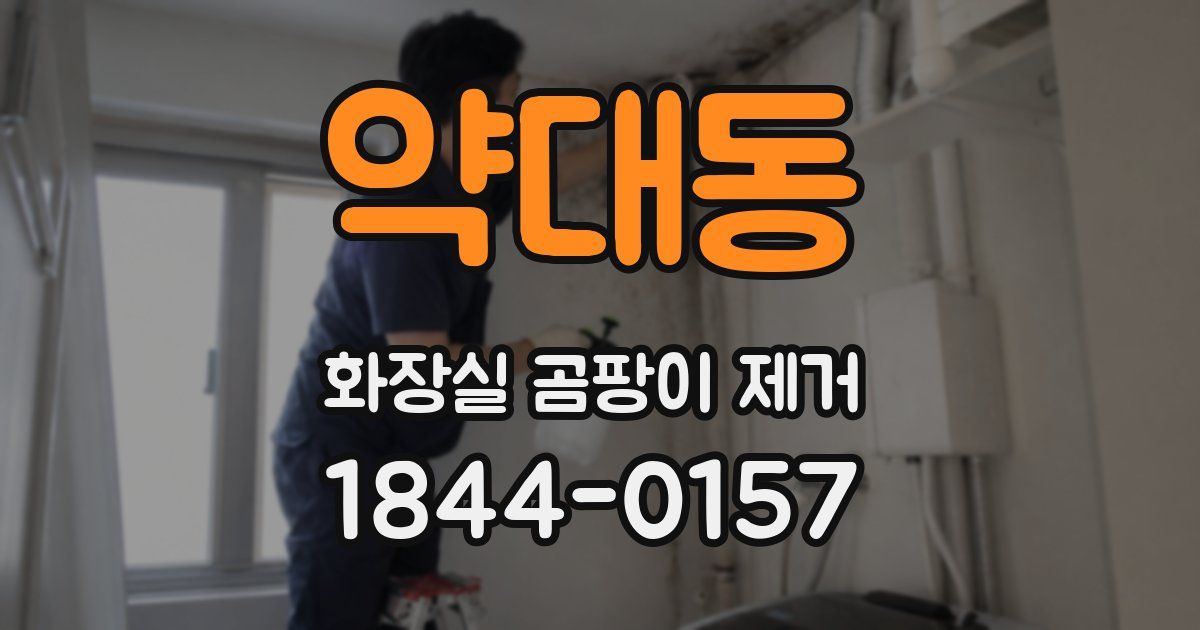 약대동 화장실 곰팡이 제거