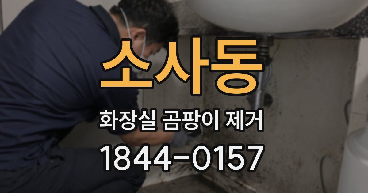 소사동 화장실 곰팡이 제거