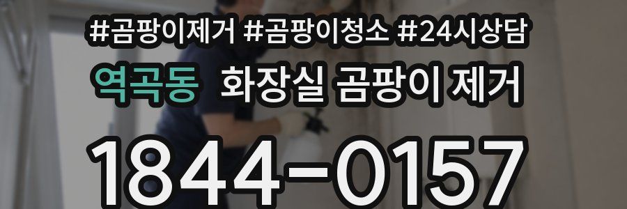 역곡동 화장실 곰팡이 제거