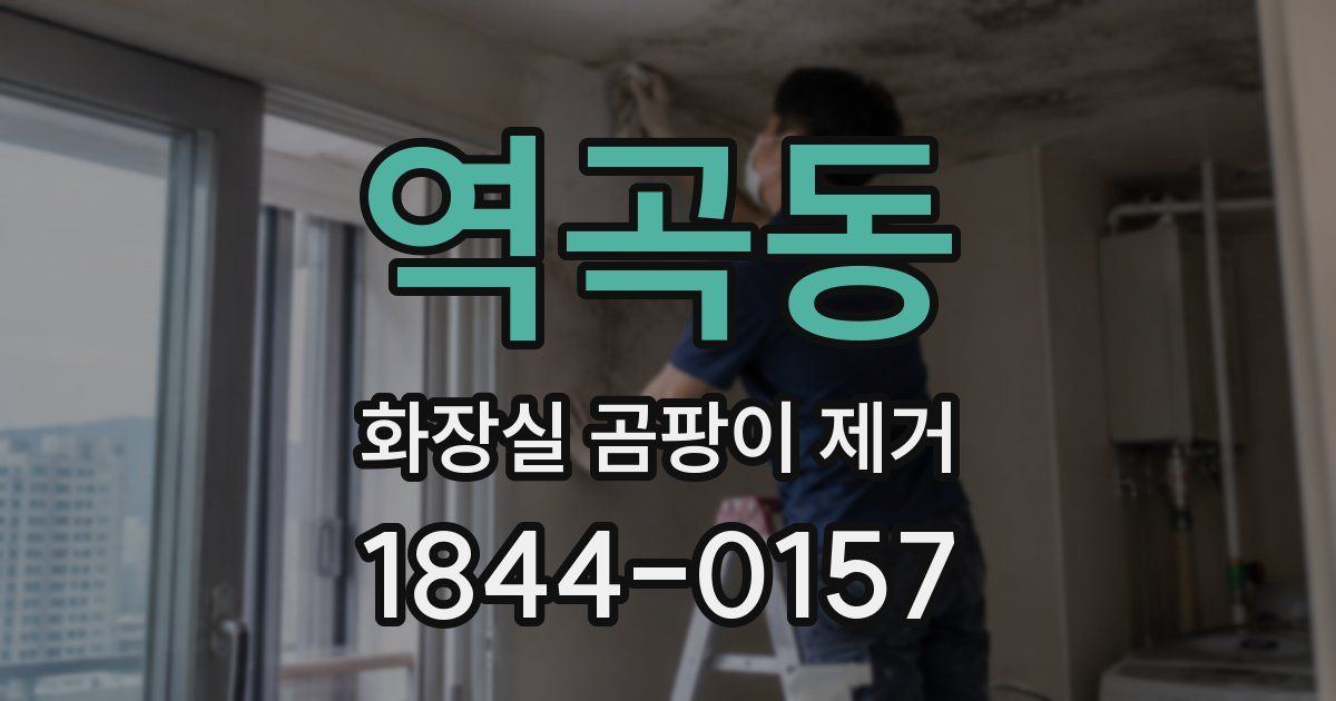 역곡동 화장실 곰팡이 제거