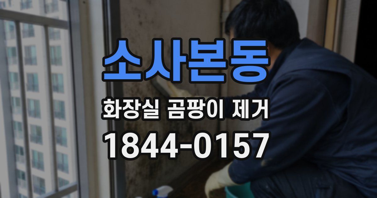 소사본동 화장실 곰팡이 제거