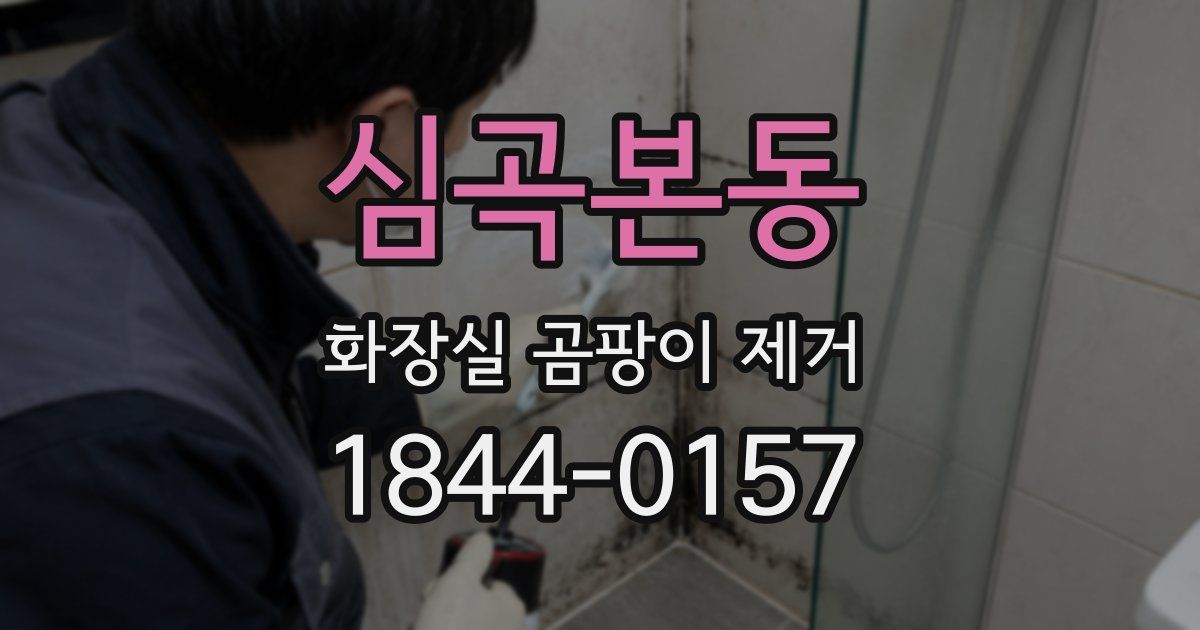 심곡본동 화장실 곰팡이 제거