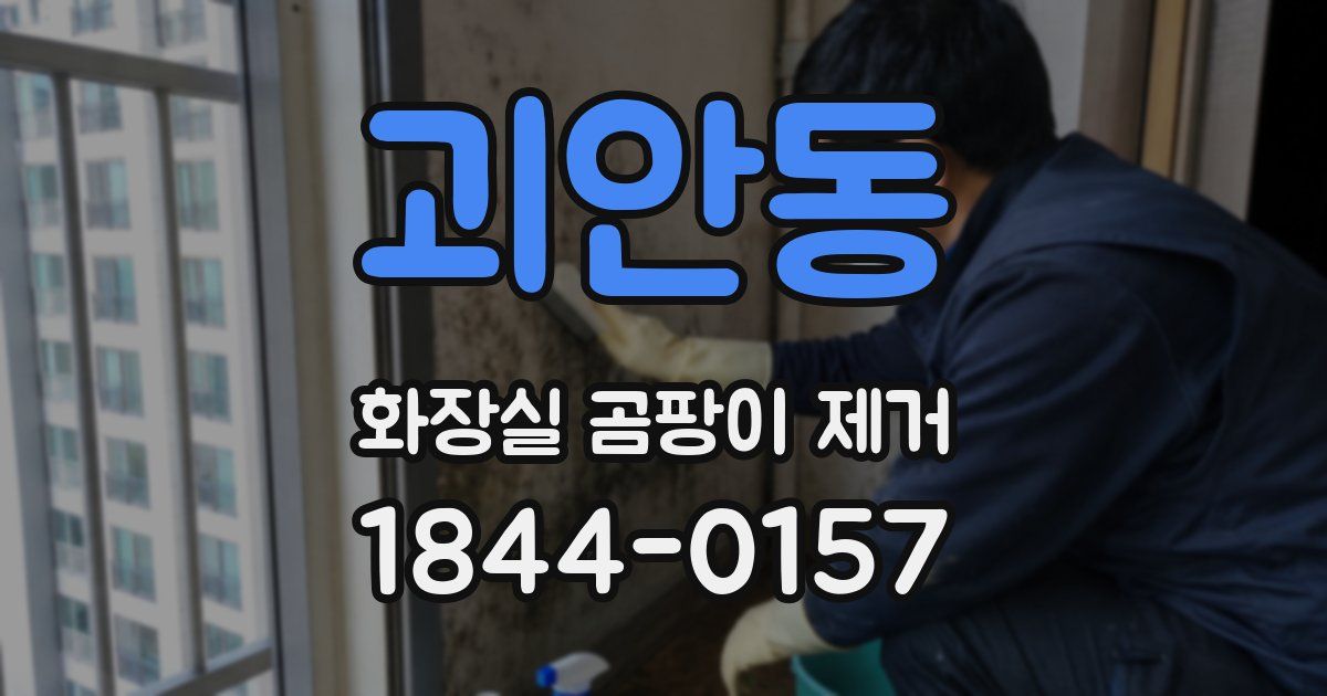 괴안동 화장실 곰팡이 제거