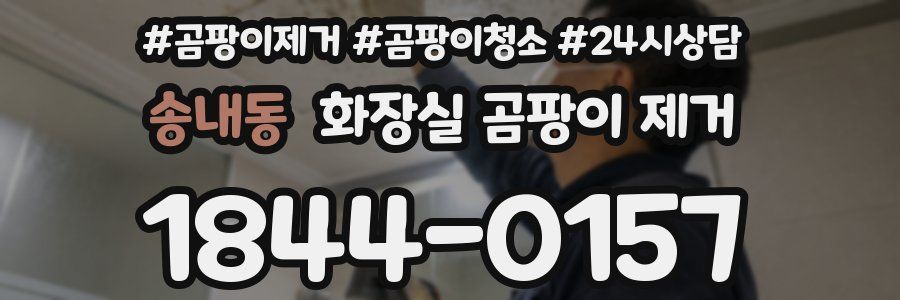 송내동 화장실 곰팡이 제거
