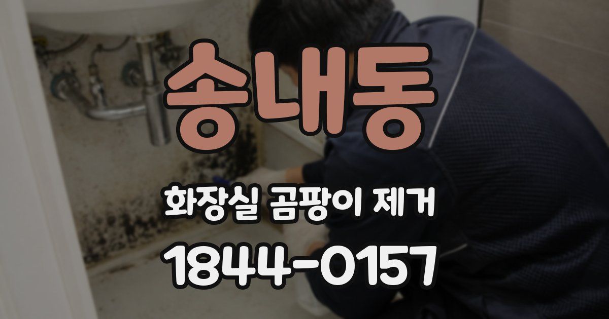 송내동 화장실 곰팡이 제거