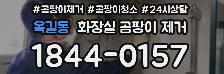 옥길동 화장실 곰팡이 제거