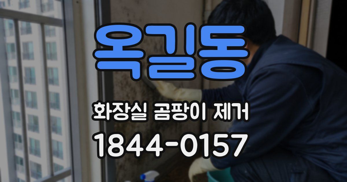 옥길동 화장실 곰팡이 제거