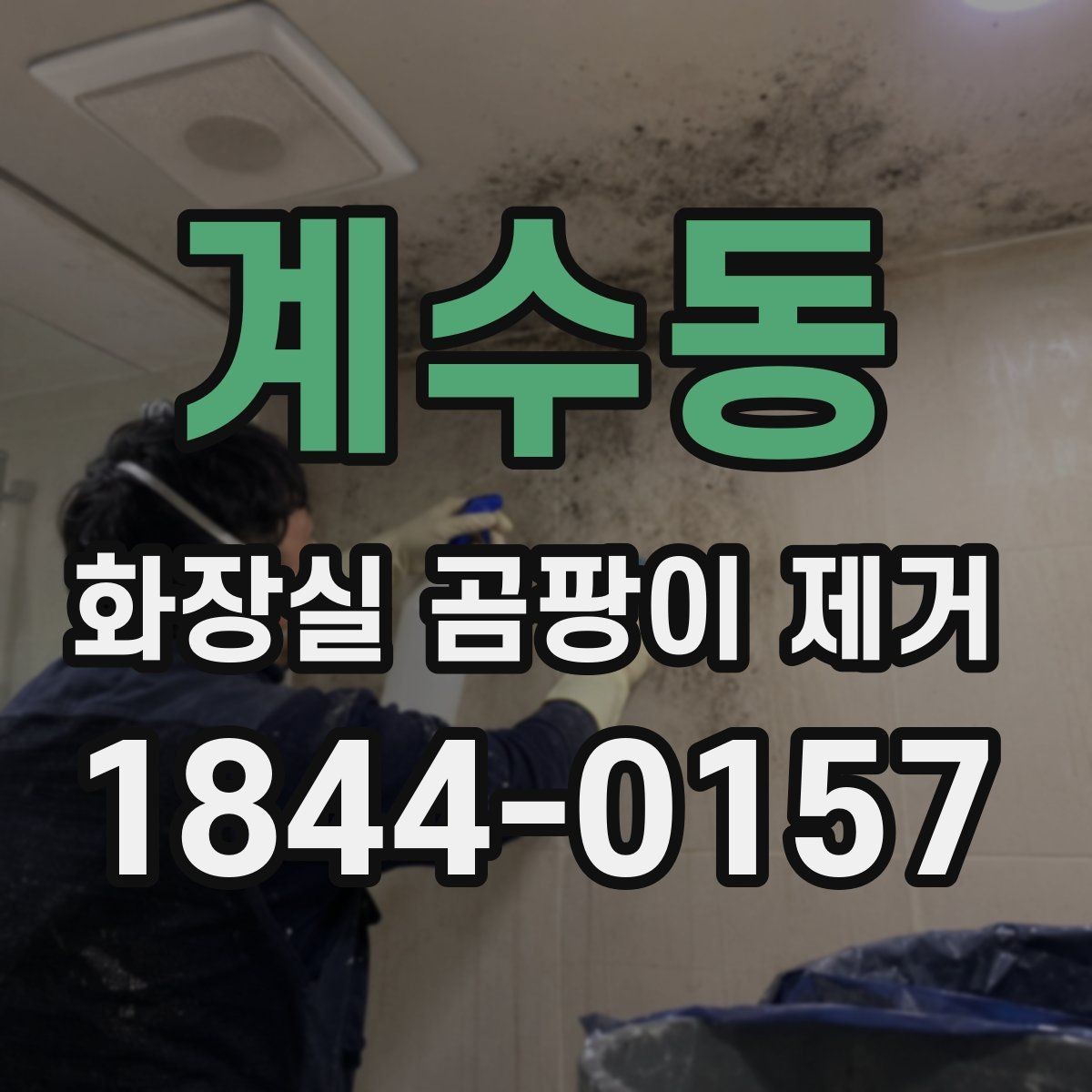 계수동 화장실 곰팡이 제거 욕실 마감재 손상 줄이는 청소 순서