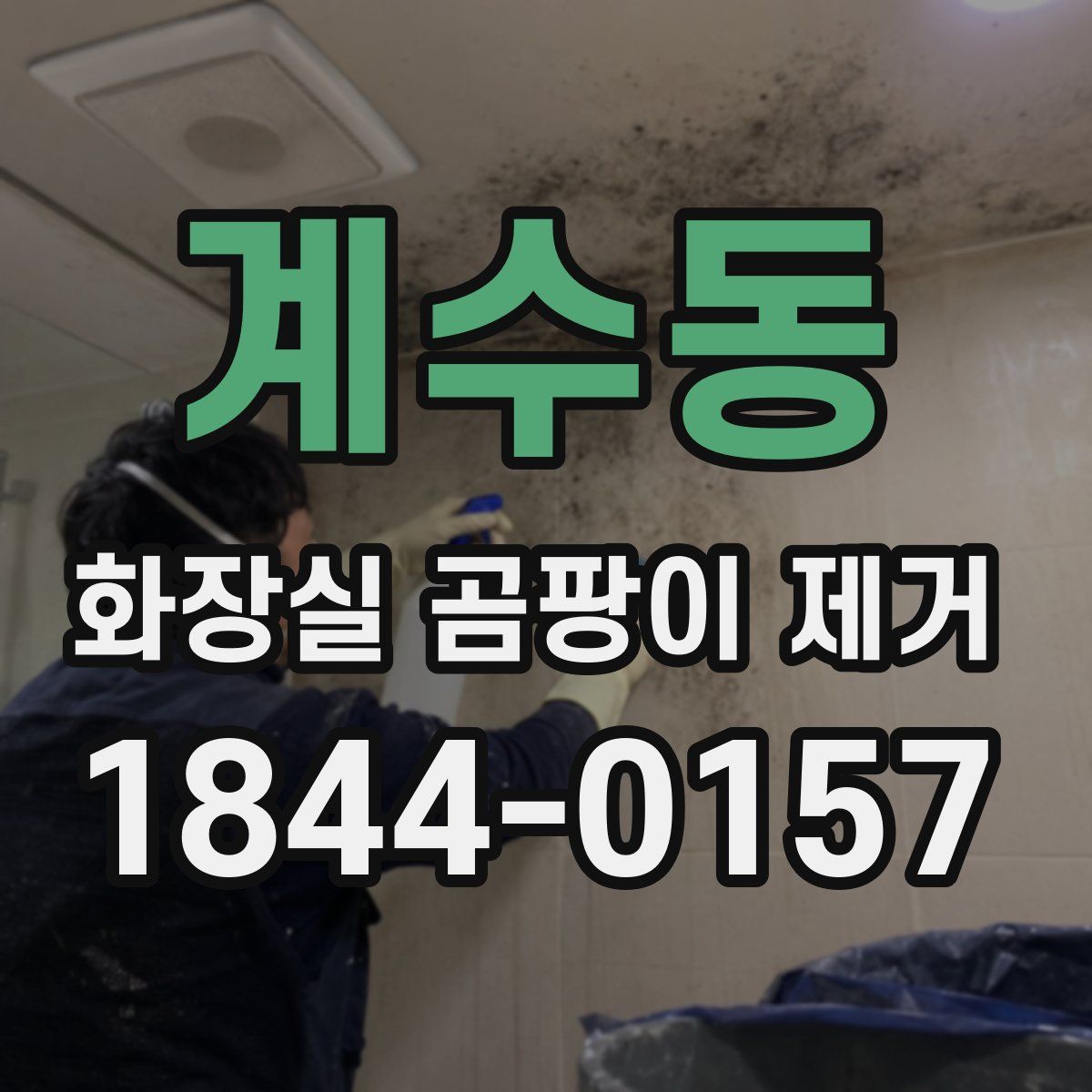 계수동 화장실 곰팡이 제거
