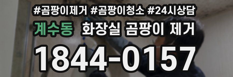 계수동 화장실 곰팡이 제거