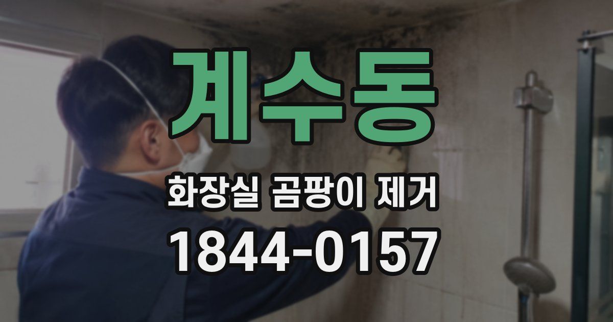 계수동 화장실 곰팡이 제거
