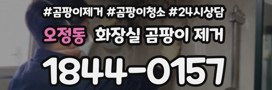 오정동 화장실 곰팡이 제거