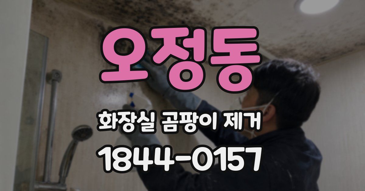 오정동 화장실 곰팡이 제거