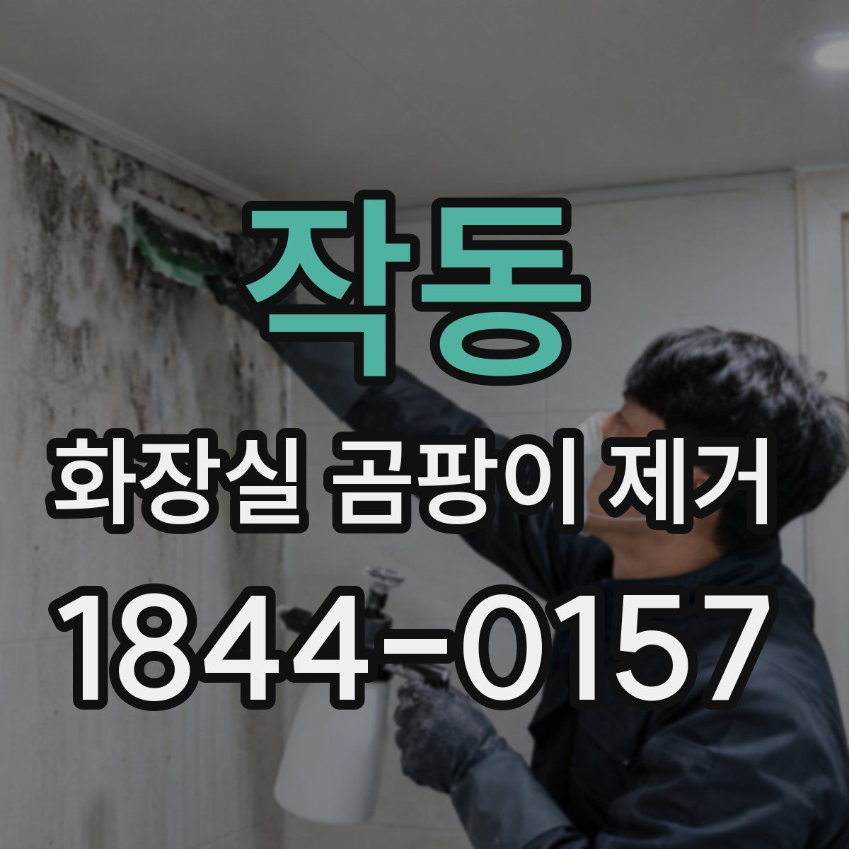 작동 화장실 곰팡이 제거