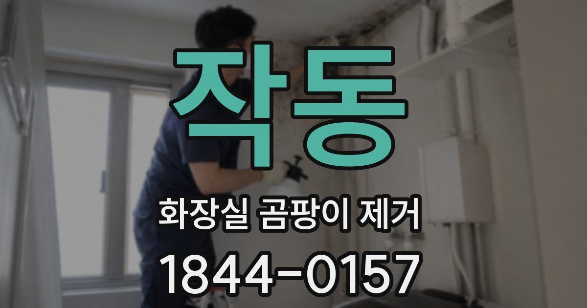 작동 화장실 곰팡이 제거