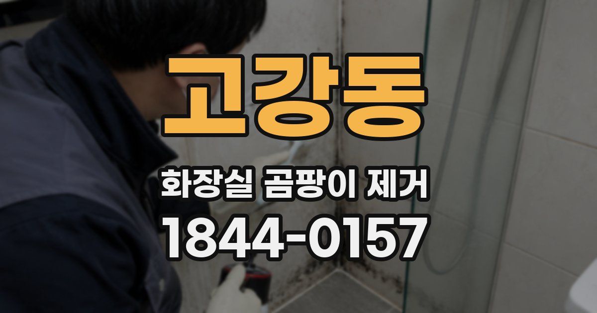 고강동 화장실 곰팡이 제거