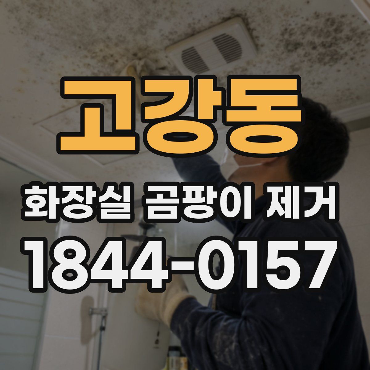 고강동 화장실 곰팡이 제거