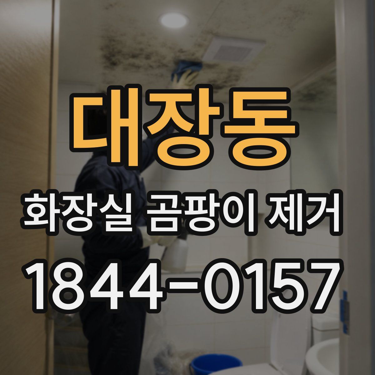 대장동 화장실 곰팡이 제거