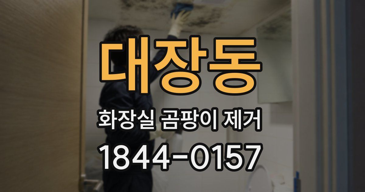 대장동 화장실 곰팡이 제거