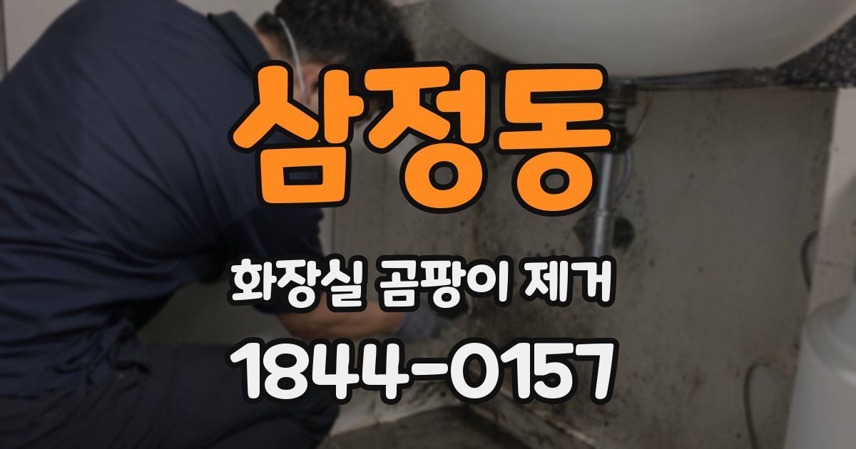 삼정동 화장실 곰팡이 제거
