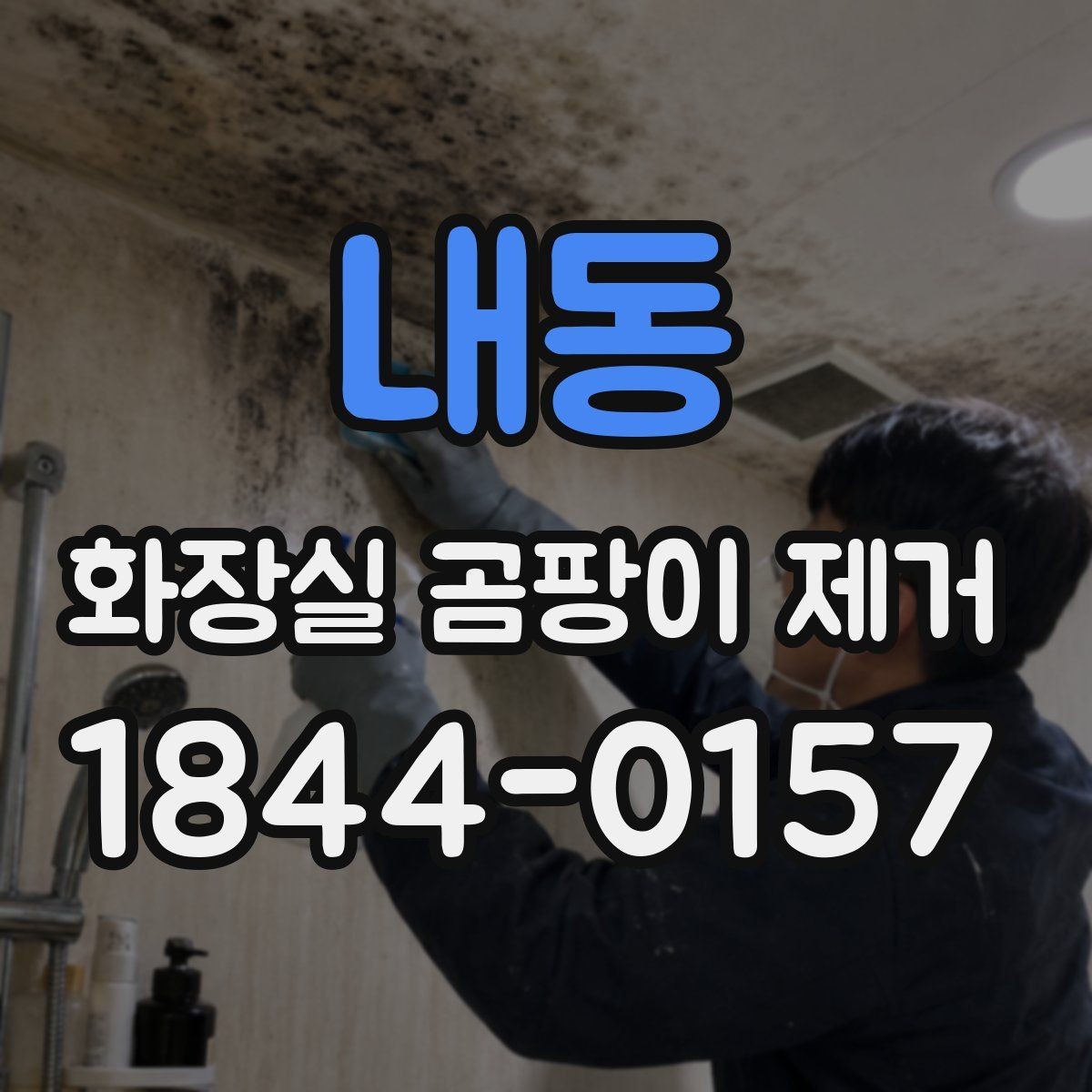 내동 화장실 곰팡이 제거 습한 계절에 놓치기 쉬운 관리 포인트