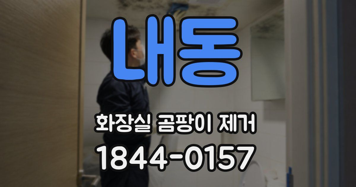 내동 화장실 곰팡이 제거
