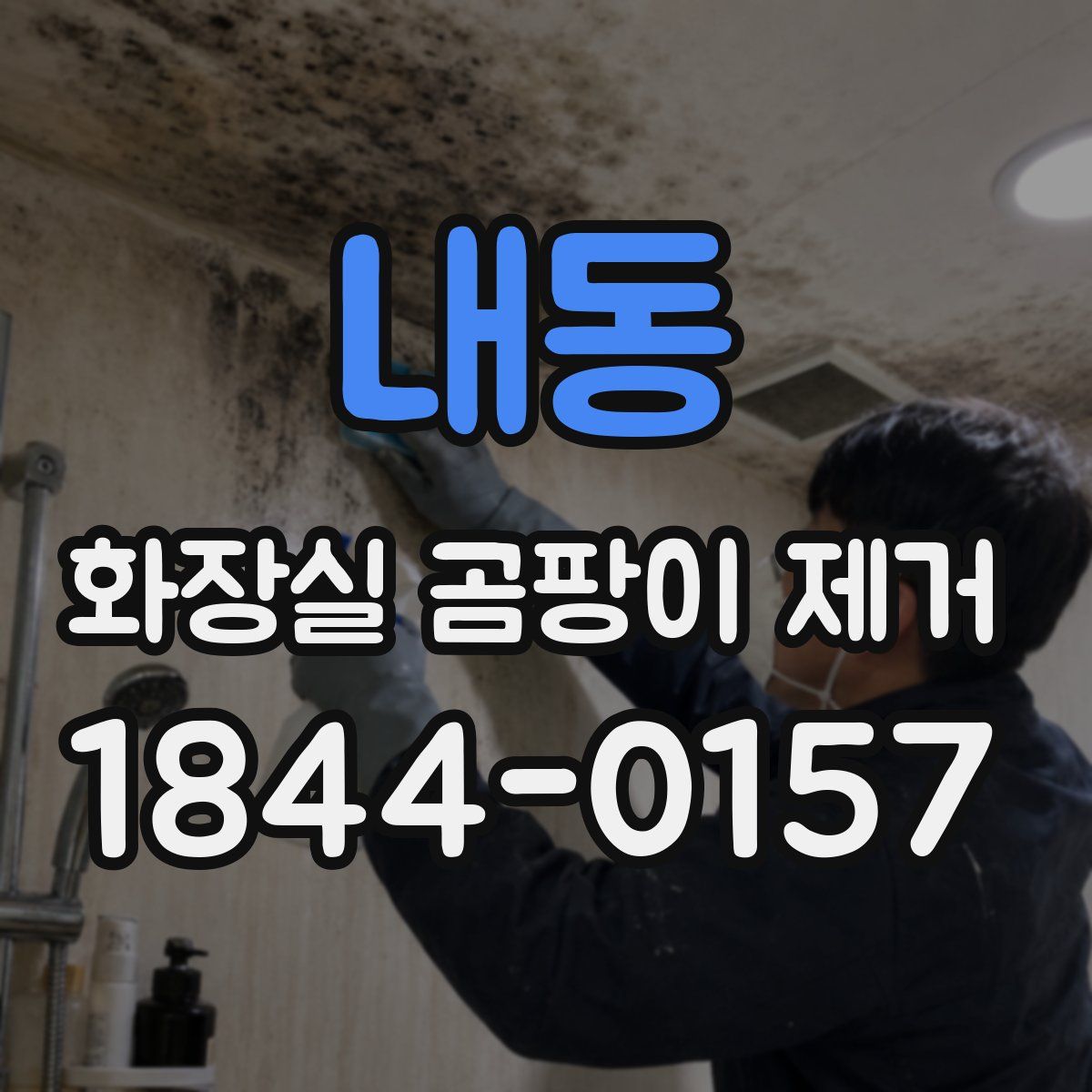 내동 화장실 곰팡이 제거