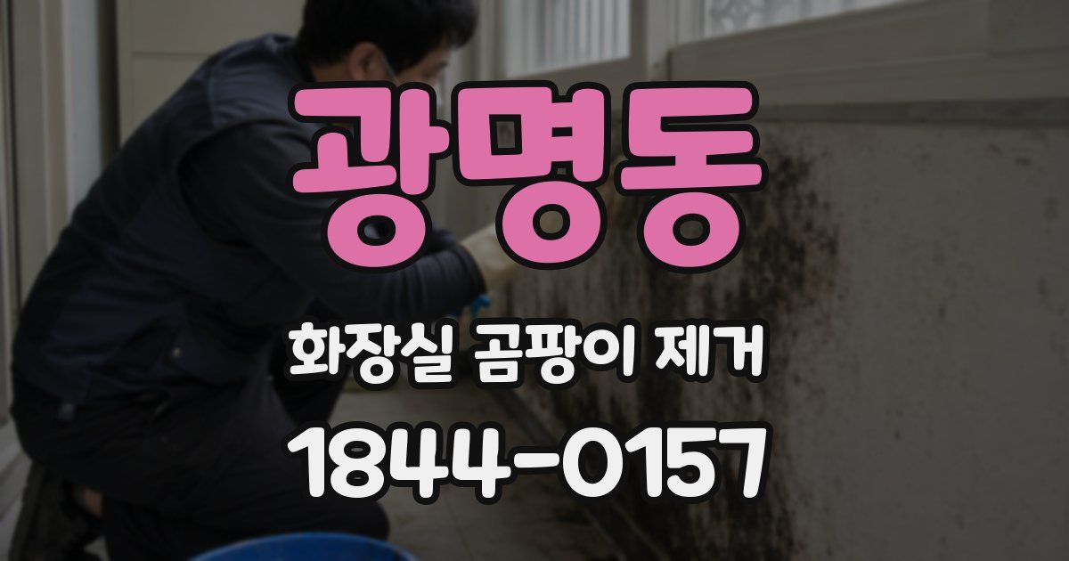 광명동 화장실 곰팡이 제거