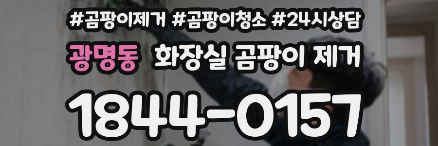 광명동 화장실 곰팡이 제거