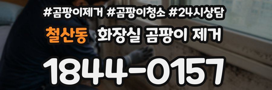 철산동 화장실 곰팡이 제거