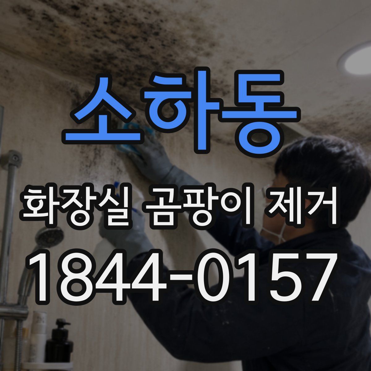 소하동 화장실 곰팡이 제거