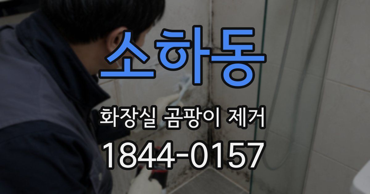 소하동 화장실 곰팡이 제거