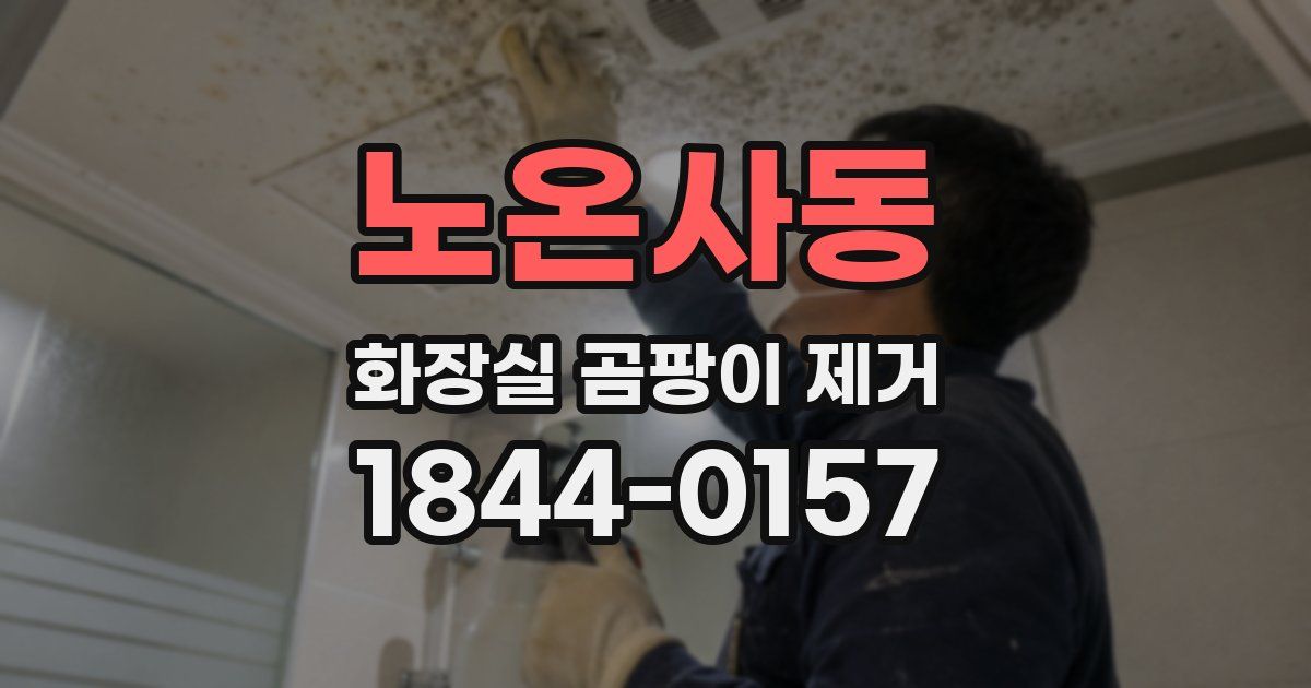 노온사동 화장실 곰팡이 제거