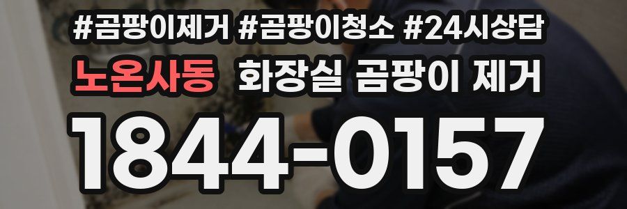 노온사동 화장실 곰팡이 제거