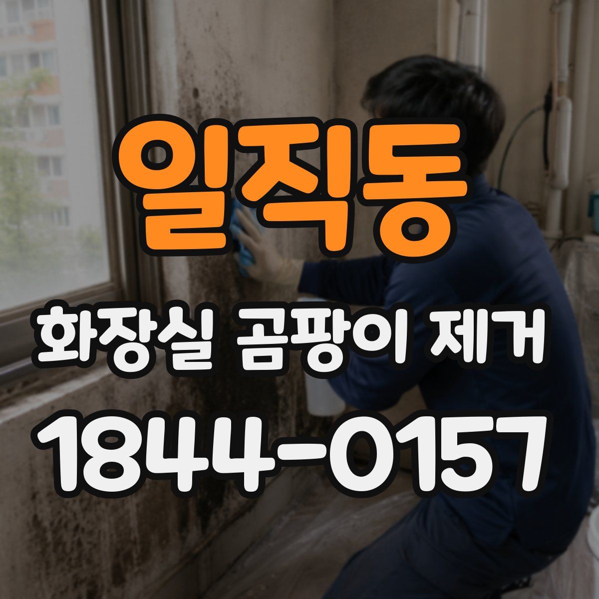 일직동 화장실 곰팡이 제거