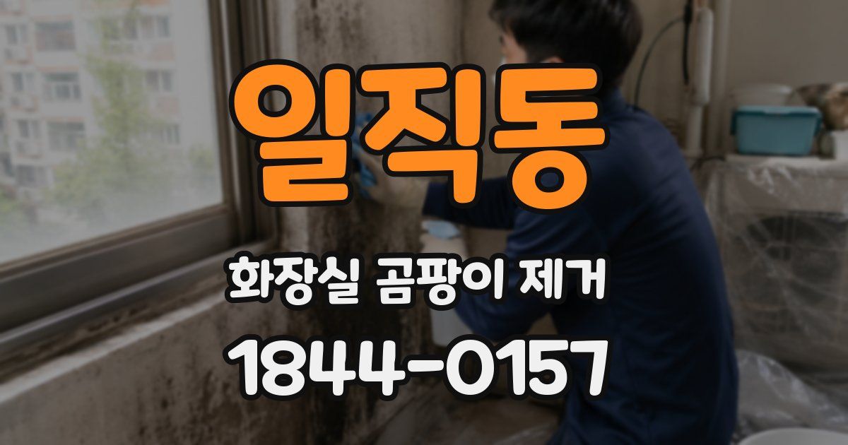 일직동 화장실 곰팡이 제거