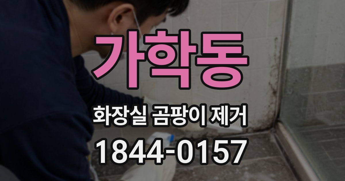 가학동 화장실 곰팡이 제거