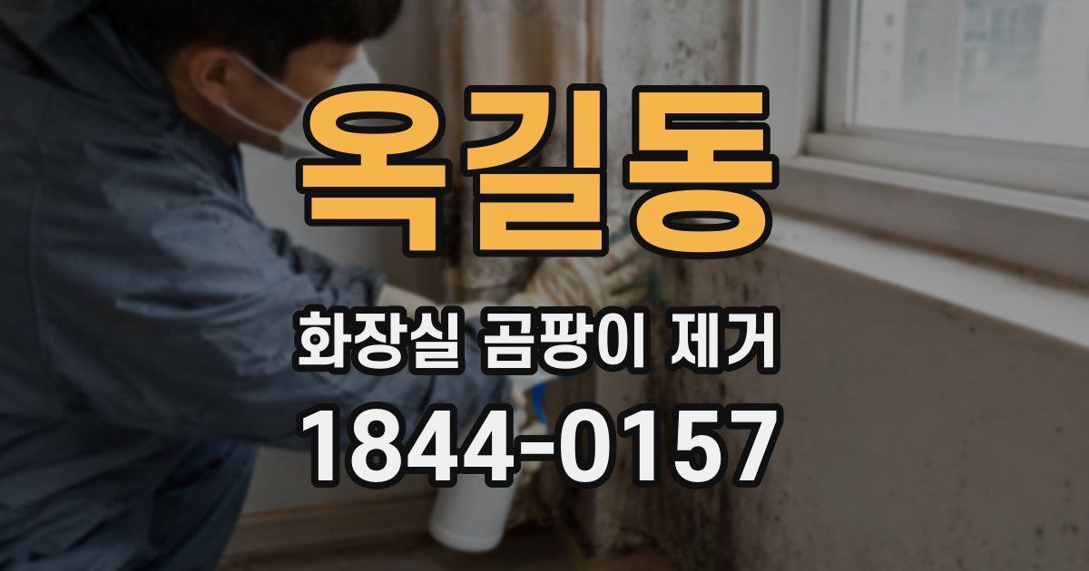 옥길동 화장실 곰팡이 제거