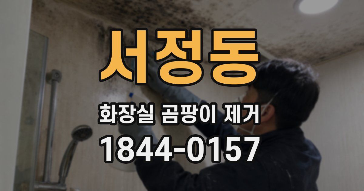서정동 화장실 곰팡이 제거