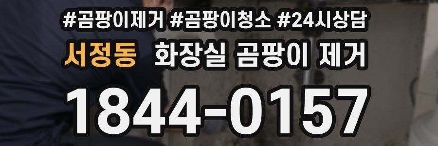 서정동 화장실 곰팡이 제거