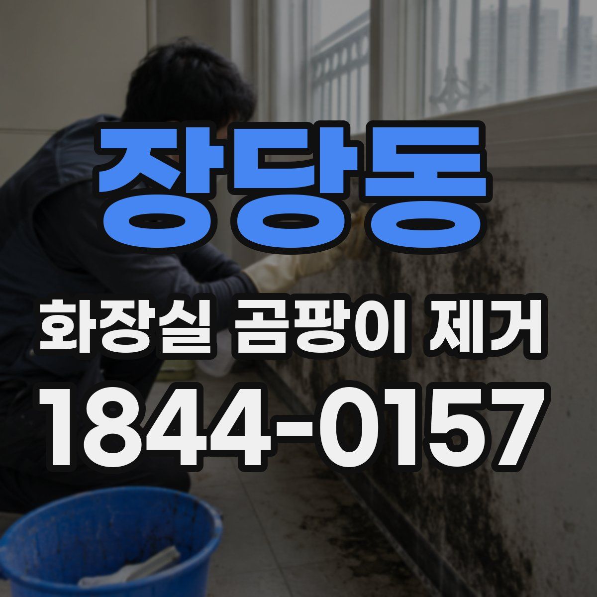 장당동 화장실 곰팡이 제거