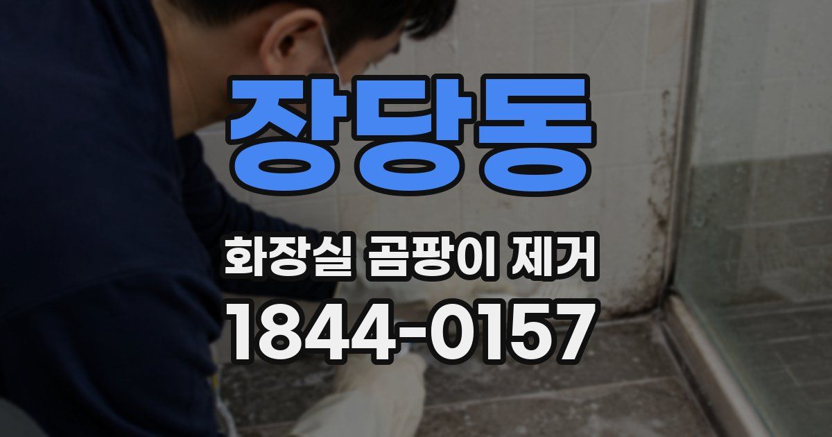 장당동 화장실 곰팡이 제거