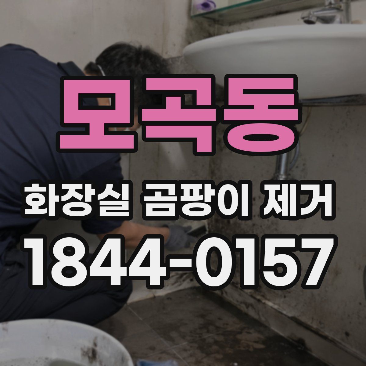 모곡동 화장실 곰팡이 제거