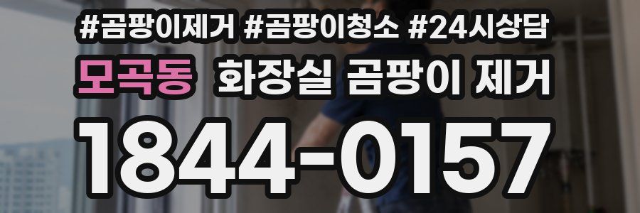 모곡동 화장실 곰팡이 제거