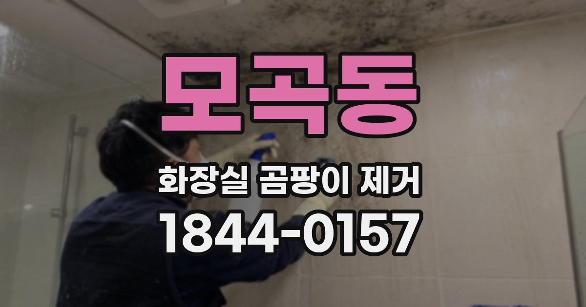 모곡동 화장실 곰팡이 제거