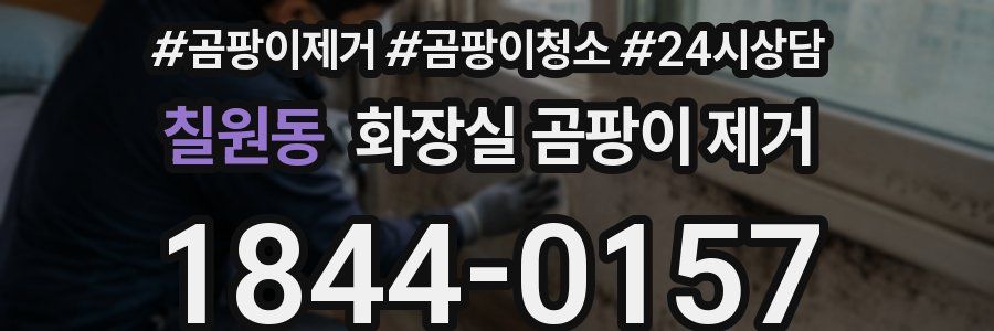 칠원동 화장실 곰팡이 제거