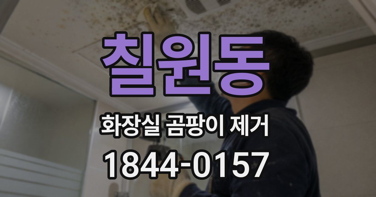 칠원동 화장실 곰팡이 제거