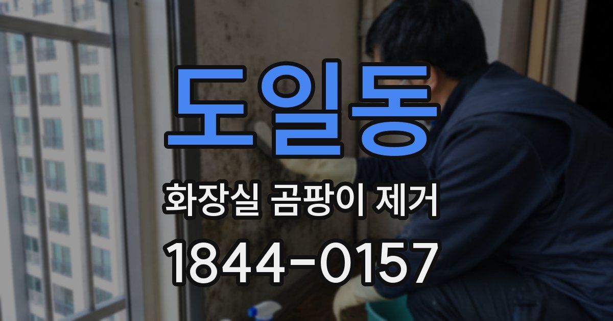 도일동 화장실 곰팡이 제거